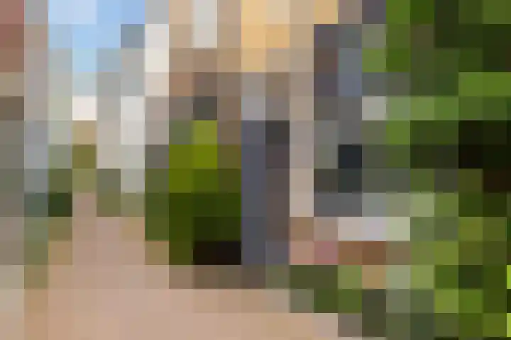 Speldenmakerssteeg 9 Gouda thumbnail 5