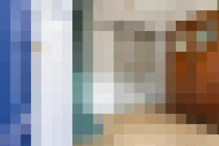 Speldenmakerssteeg 9 Gouda thumbnail 7