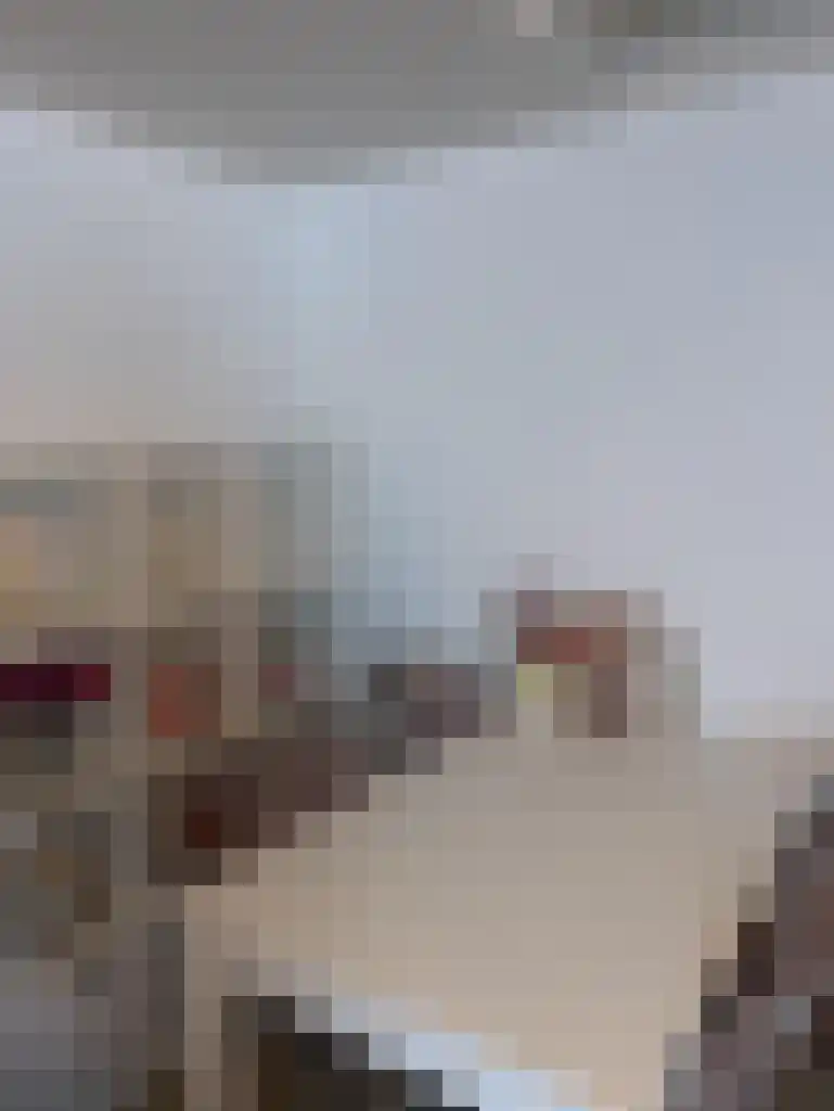 Speldenmakerssteeg Gouda thumbnail 6