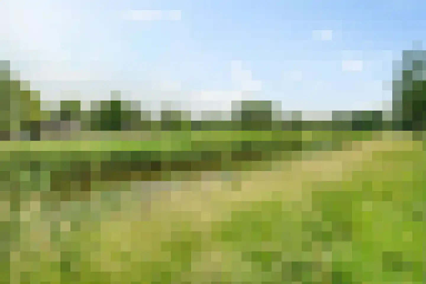 Speldenmakerstraat 24 Zwolle thumbnail 51