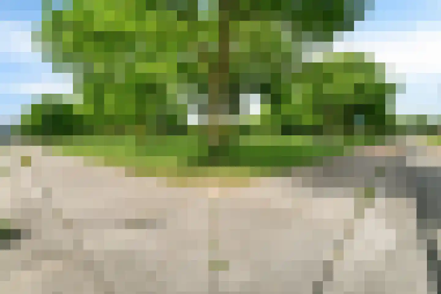 Speldenmakerstraat 24 Zwolle thumbnail 53