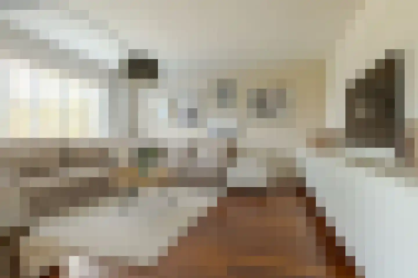Speldenmakerstraat 34 Zwolle thumbnail 16