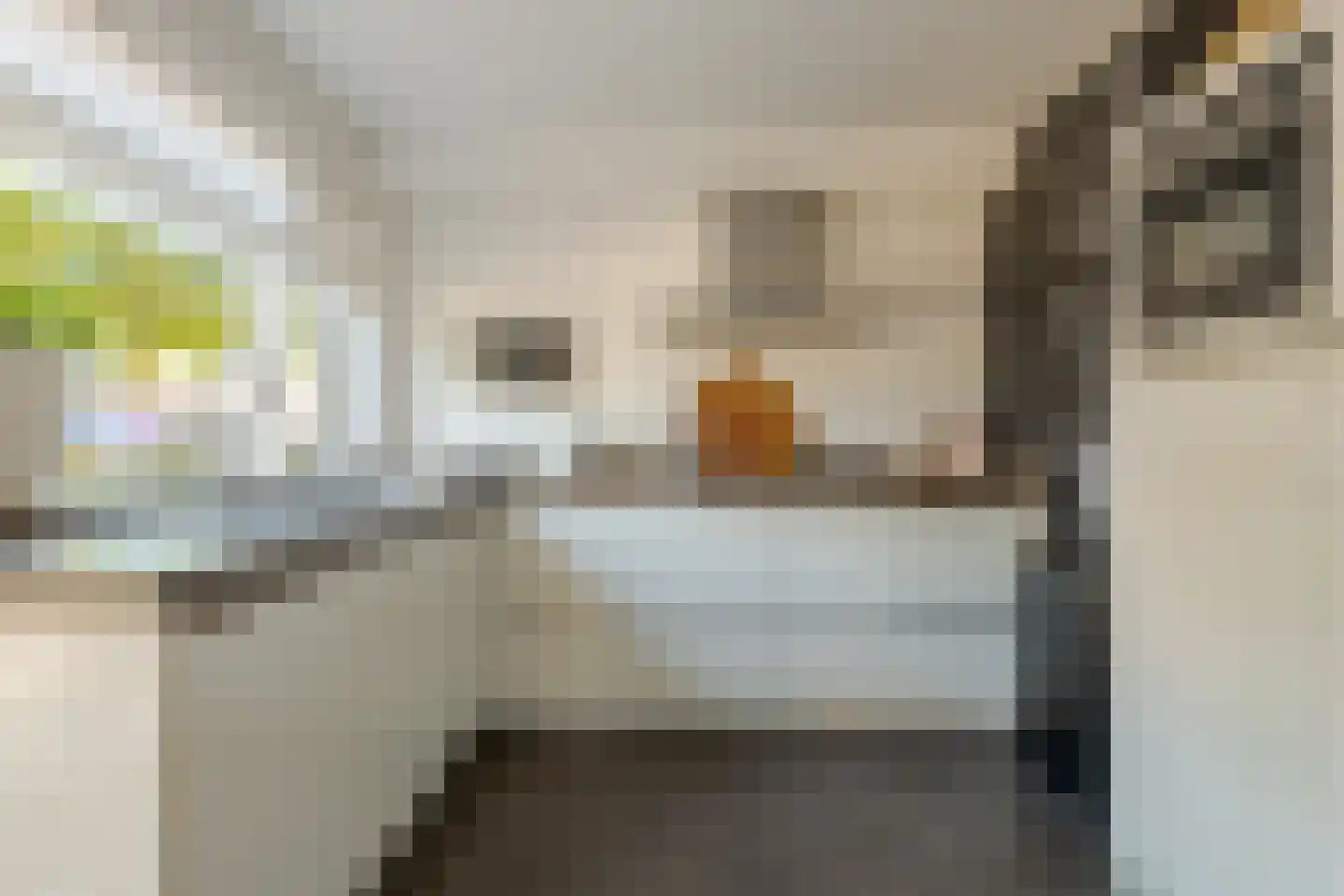 Speldenmakerstraat 34 Zwolle thumbnail 22