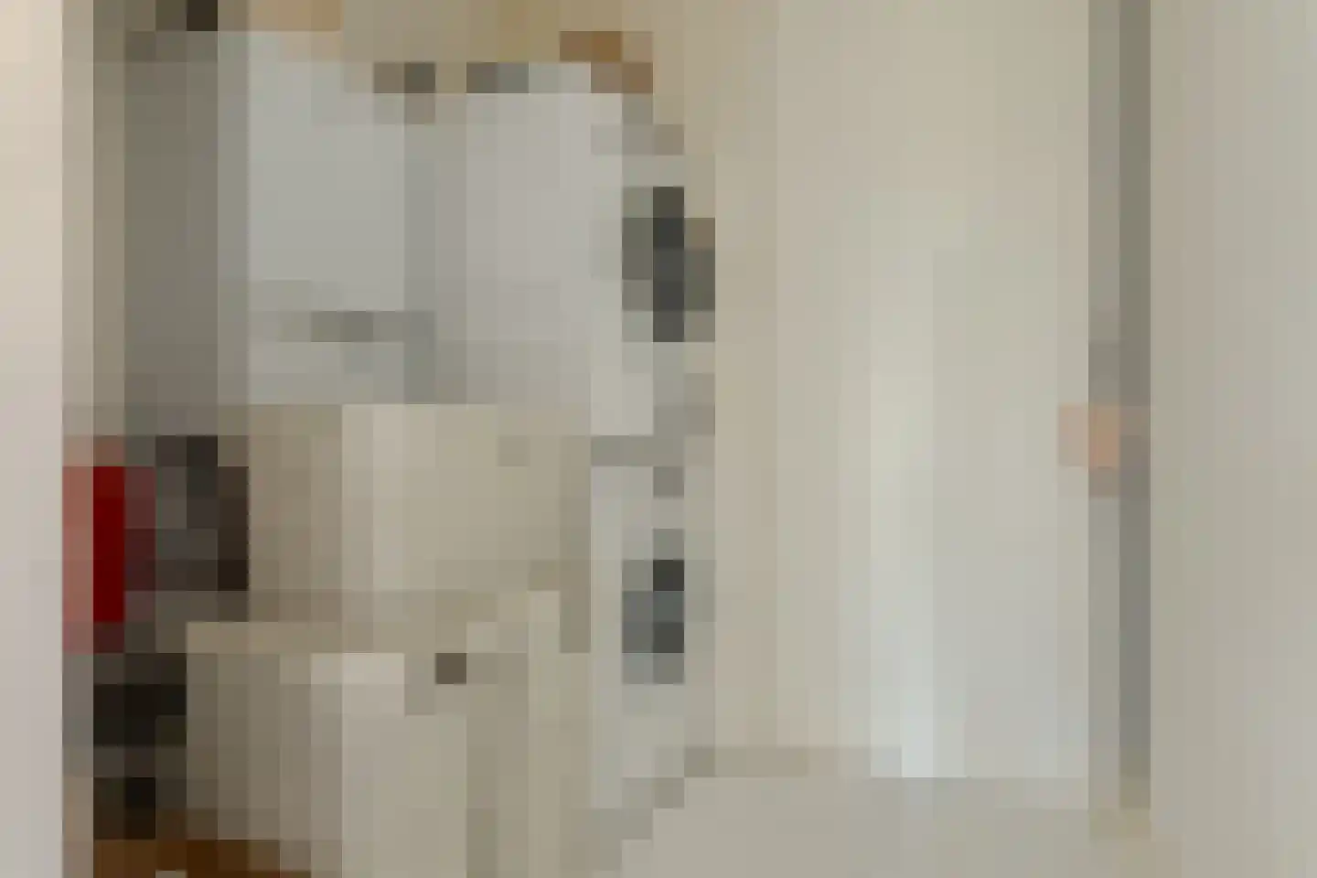Speldenmakerstraat 34 Zwolle thumbnail 43