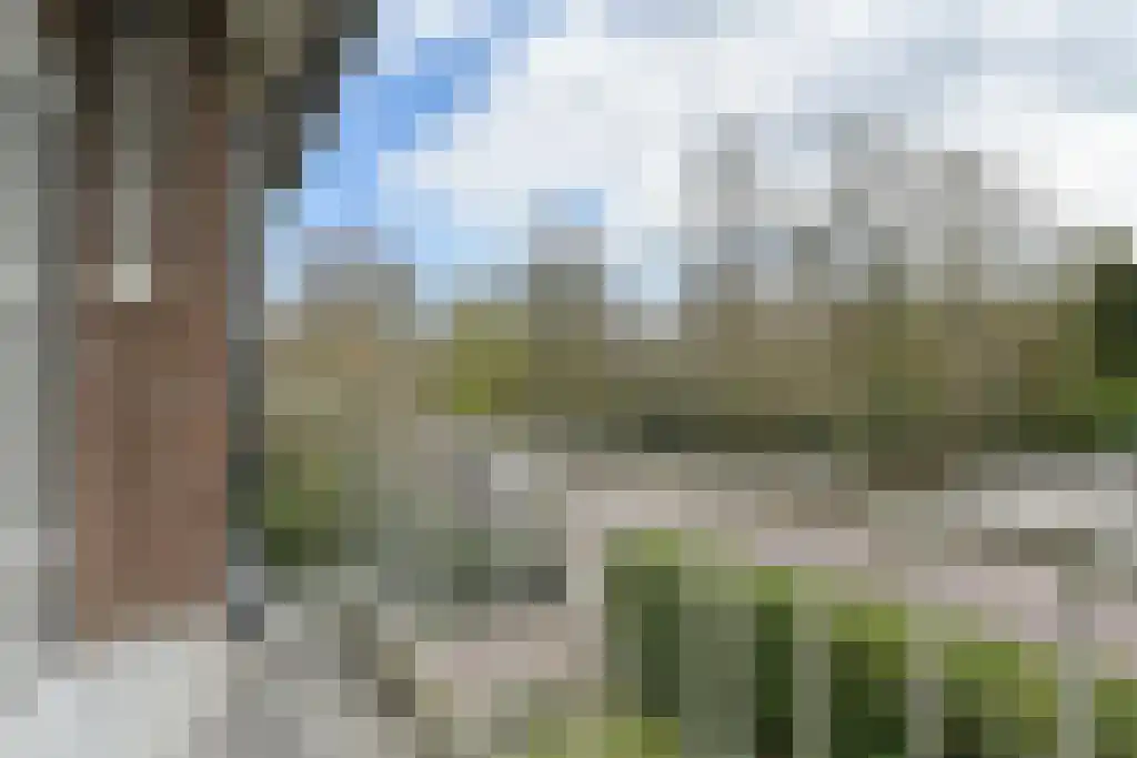 Spelderslaan 14 Wassenaar thumbnail 36