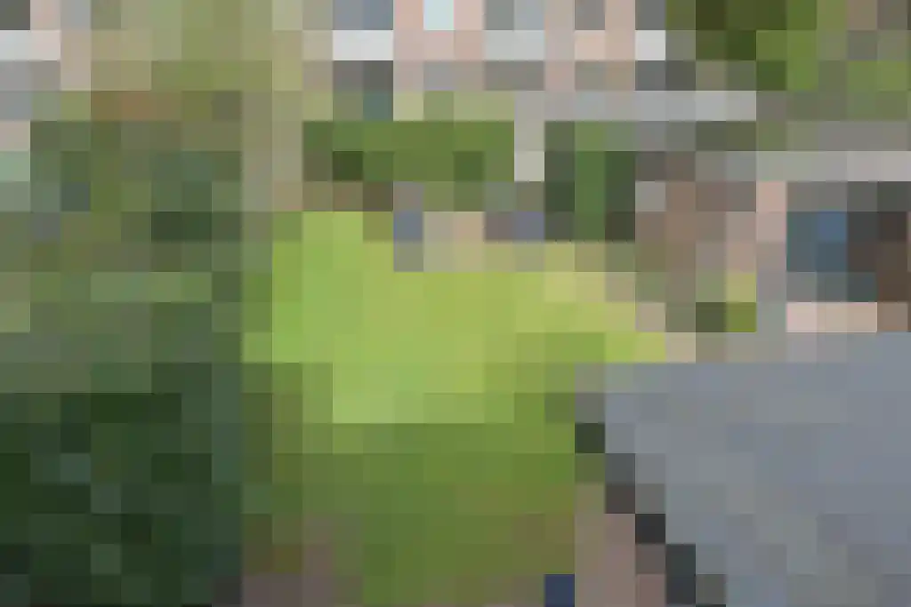 Spelderslaan 14 Wassenaar thumbnail 41