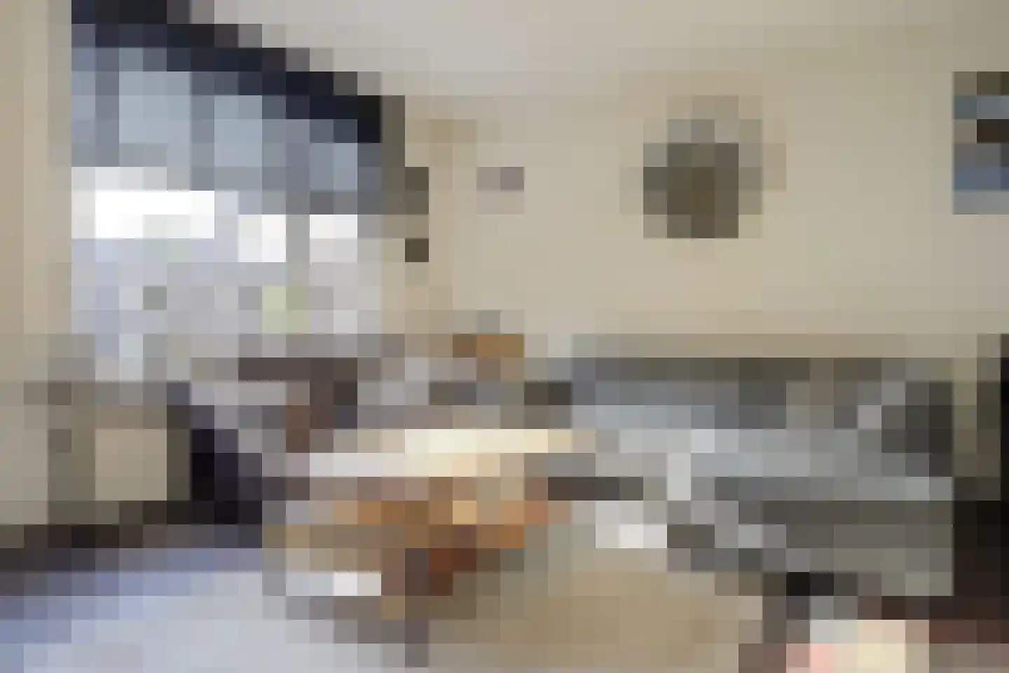 Spelleborg 1 Steenbergen thumbnail 11