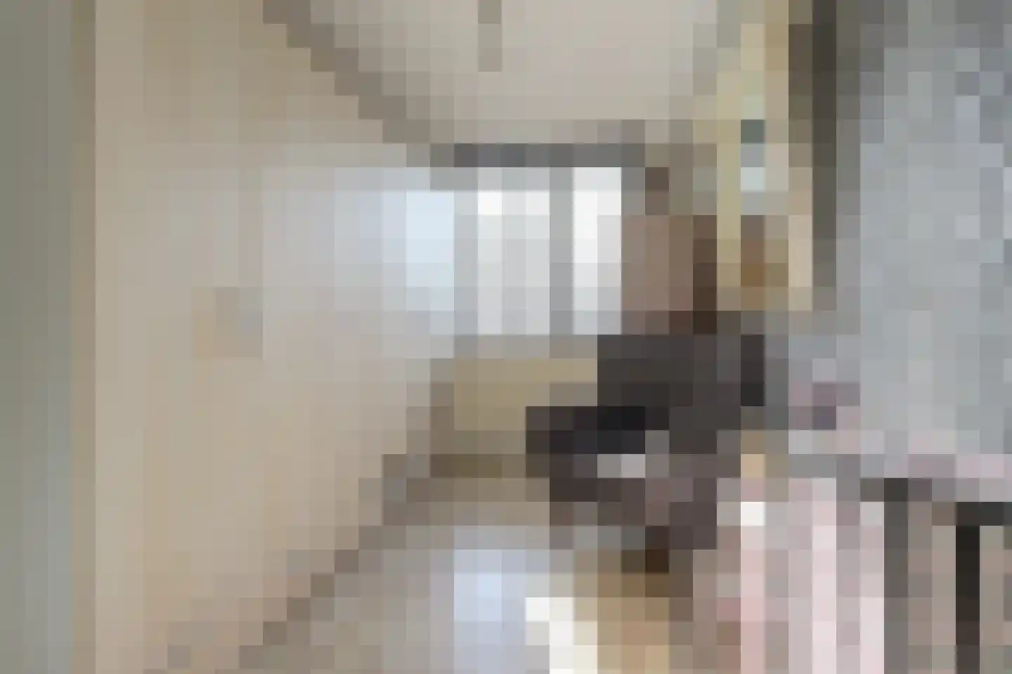 Spelleborg 1 Steenbergen thumbnail 25
