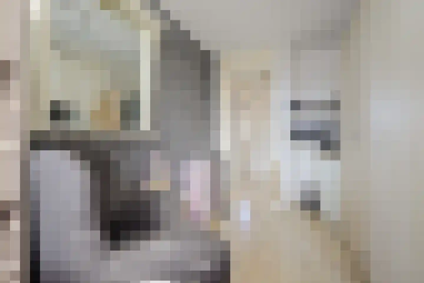 Spelleborg 1 Steenbergen thumbnail 26