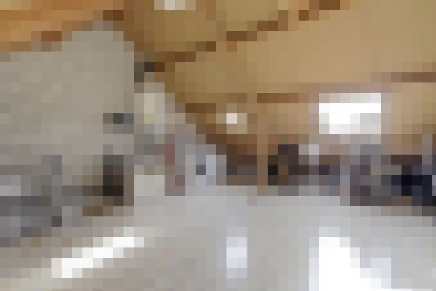 Spelleborg 1 Steenbergen thumbnail 27