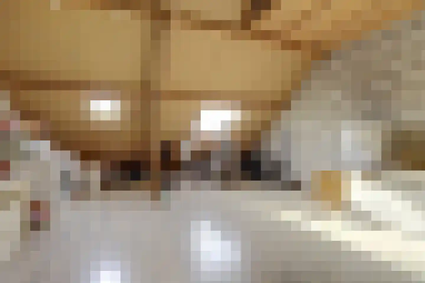 Spelleborg 1 Steenbergen thumbnail 28