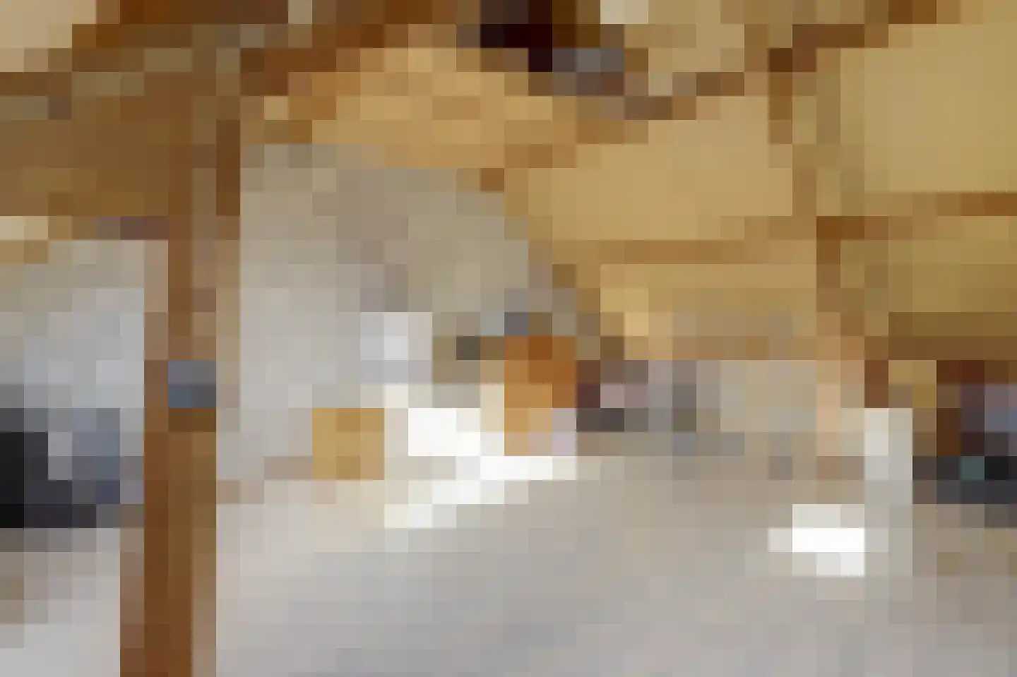 Spelleborg 1 Steenbergen thumbnail 29