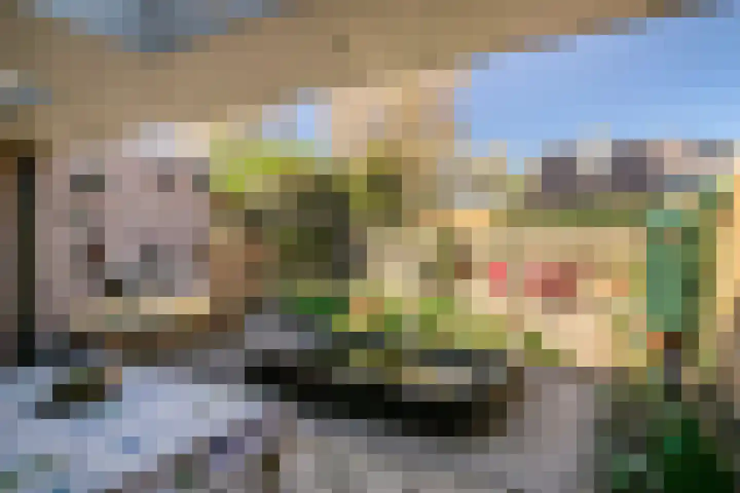 Spellewaardsestraat 6 a Zaltbommel thumbnail 36