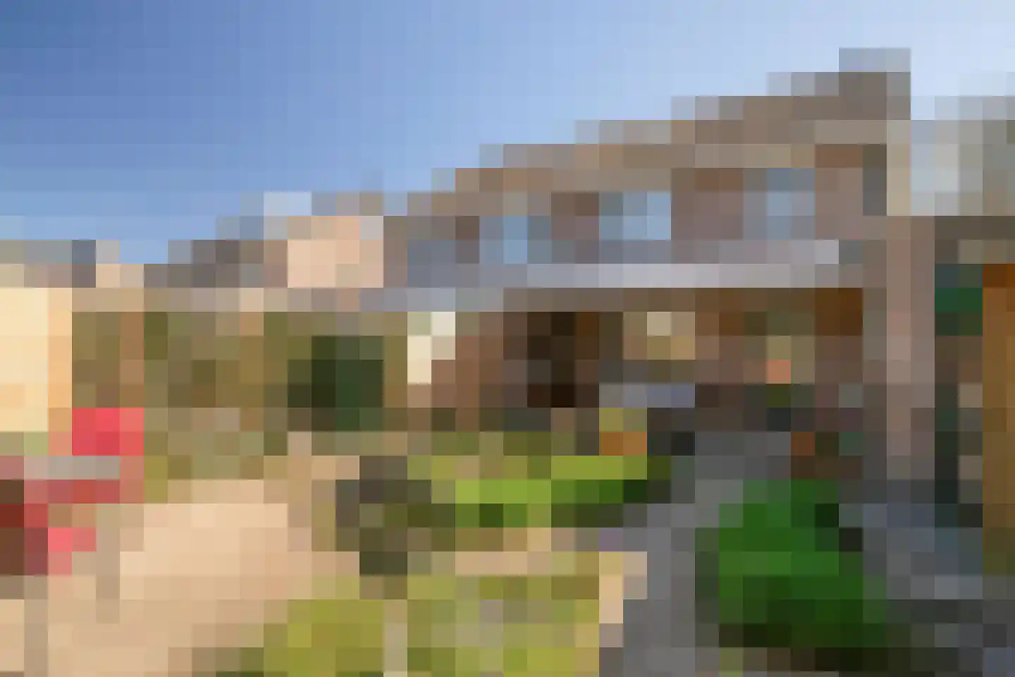 Spellewaardsestraat 6 a Zaltbommel thumbnail 4