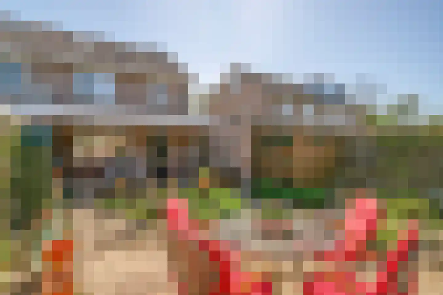 Spellewaardsestraat 6 a Zaltbommel thumbnail 40