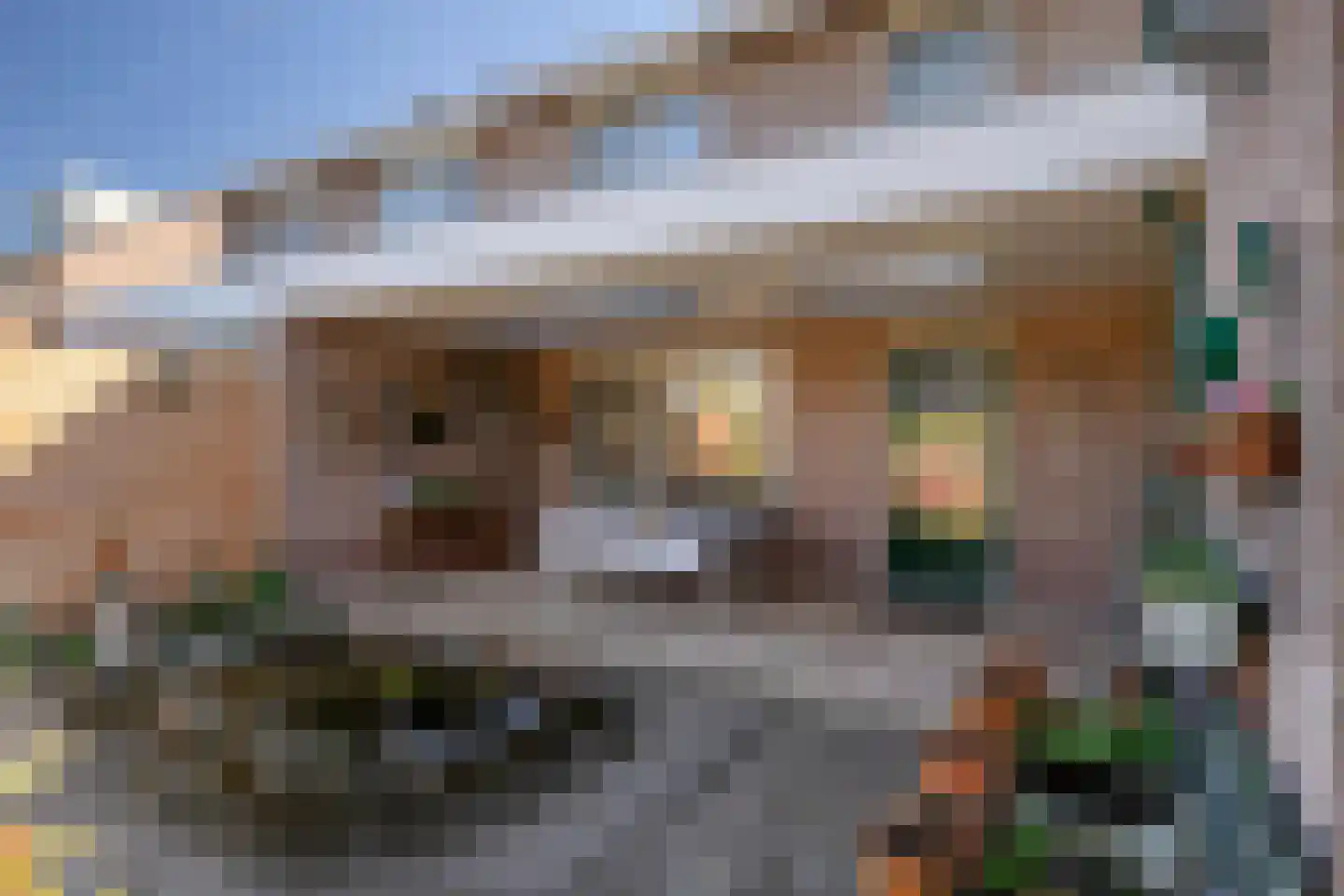 Spellewaardsestraat 6 a Zaltbommel thumbnail 42