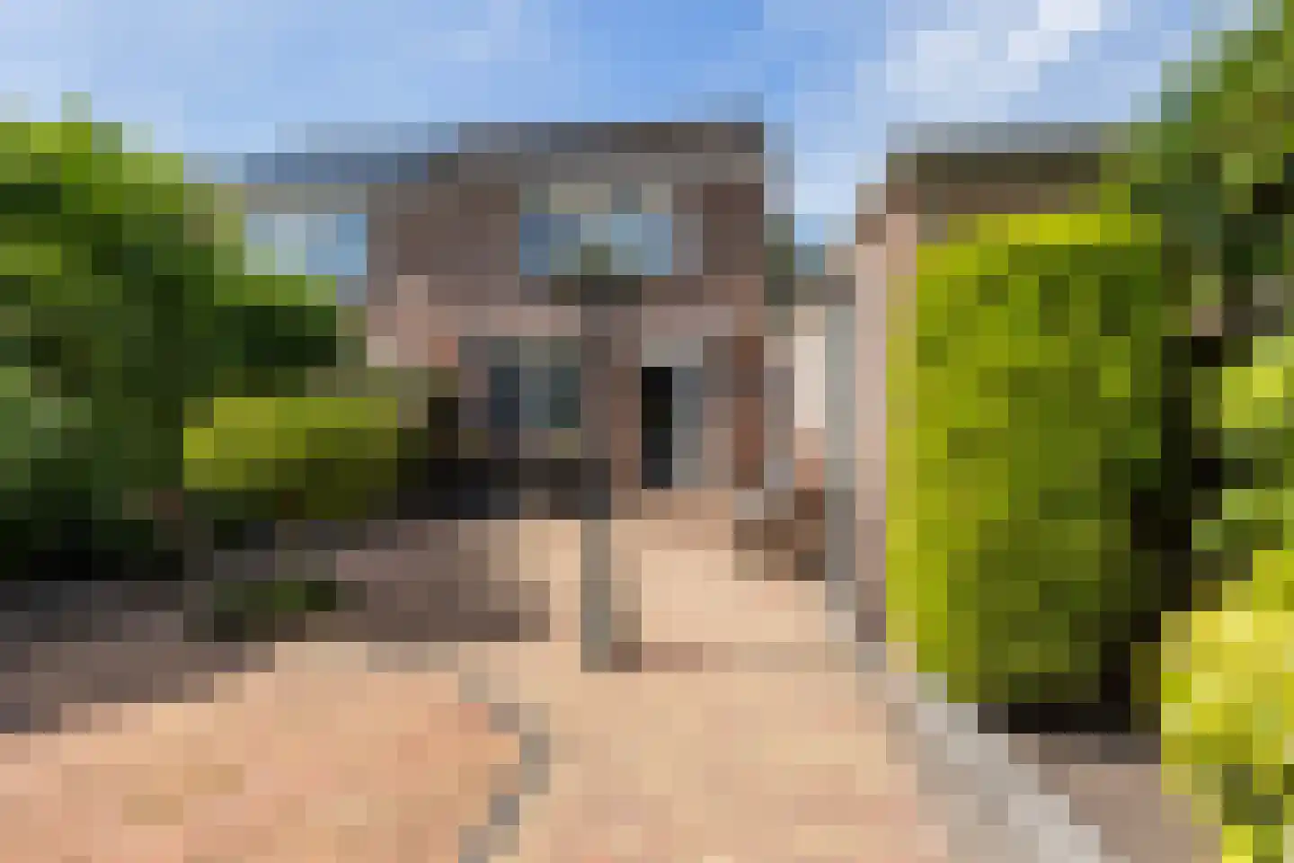 Speltakker 1 Wezep foto 2