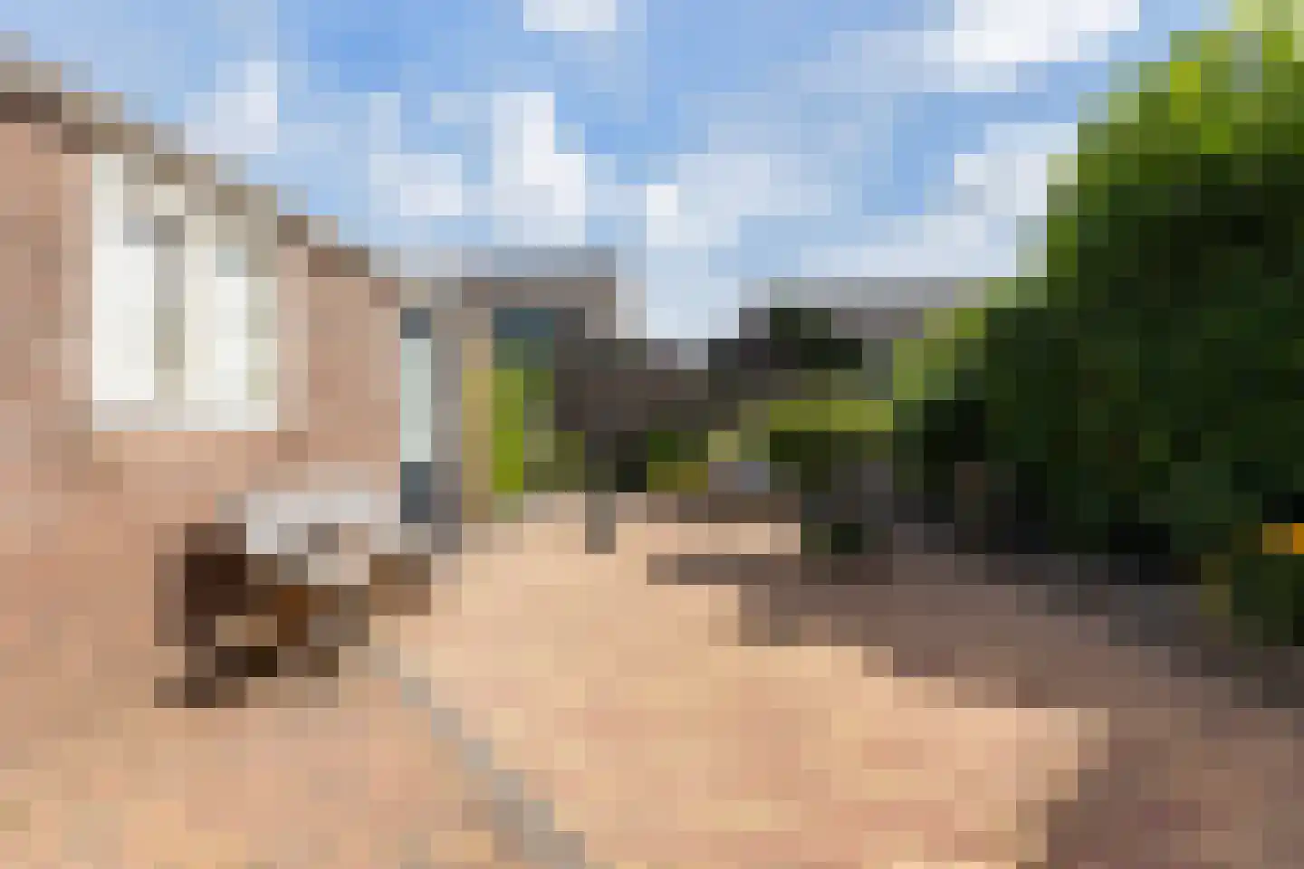 Speltakker 1 Wezep thumbnail 34