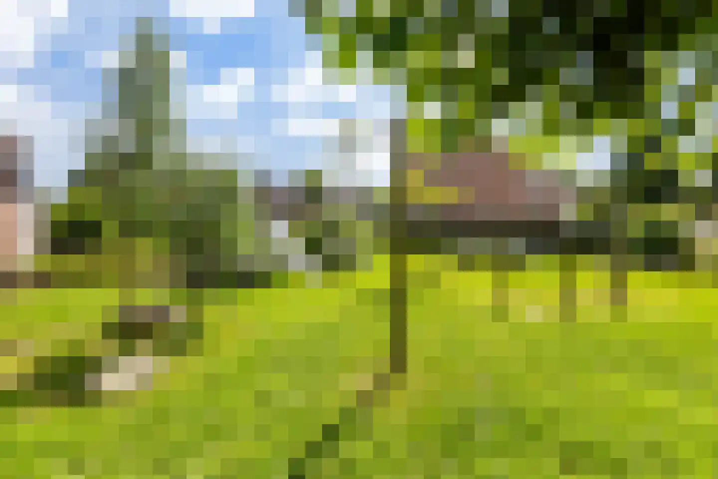 Speltakker 1 Wezep thumbnail 38