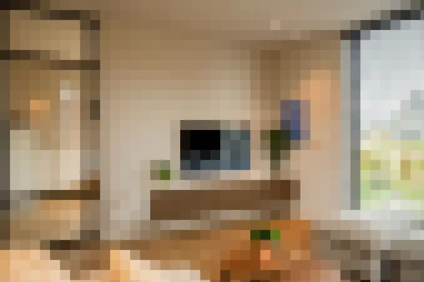 Speltakker 17 Gilze thumbnail 22