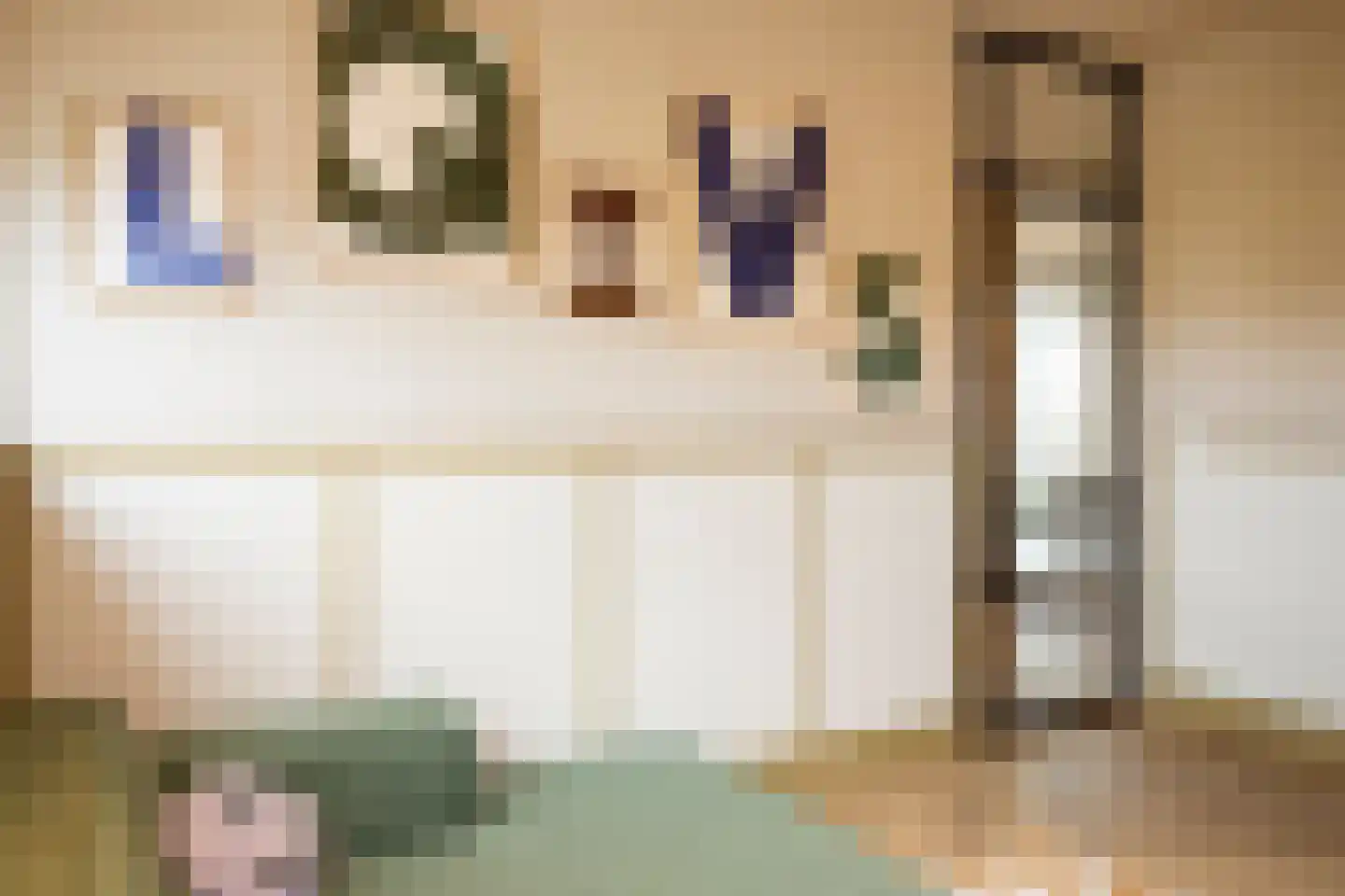 Speltakker 17 Gilze thumbnail 26