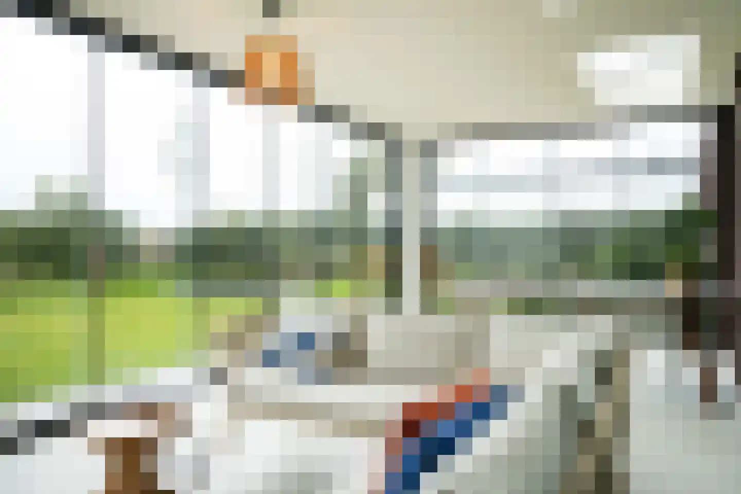 Speltakker 17 Gilze thumbnail 27