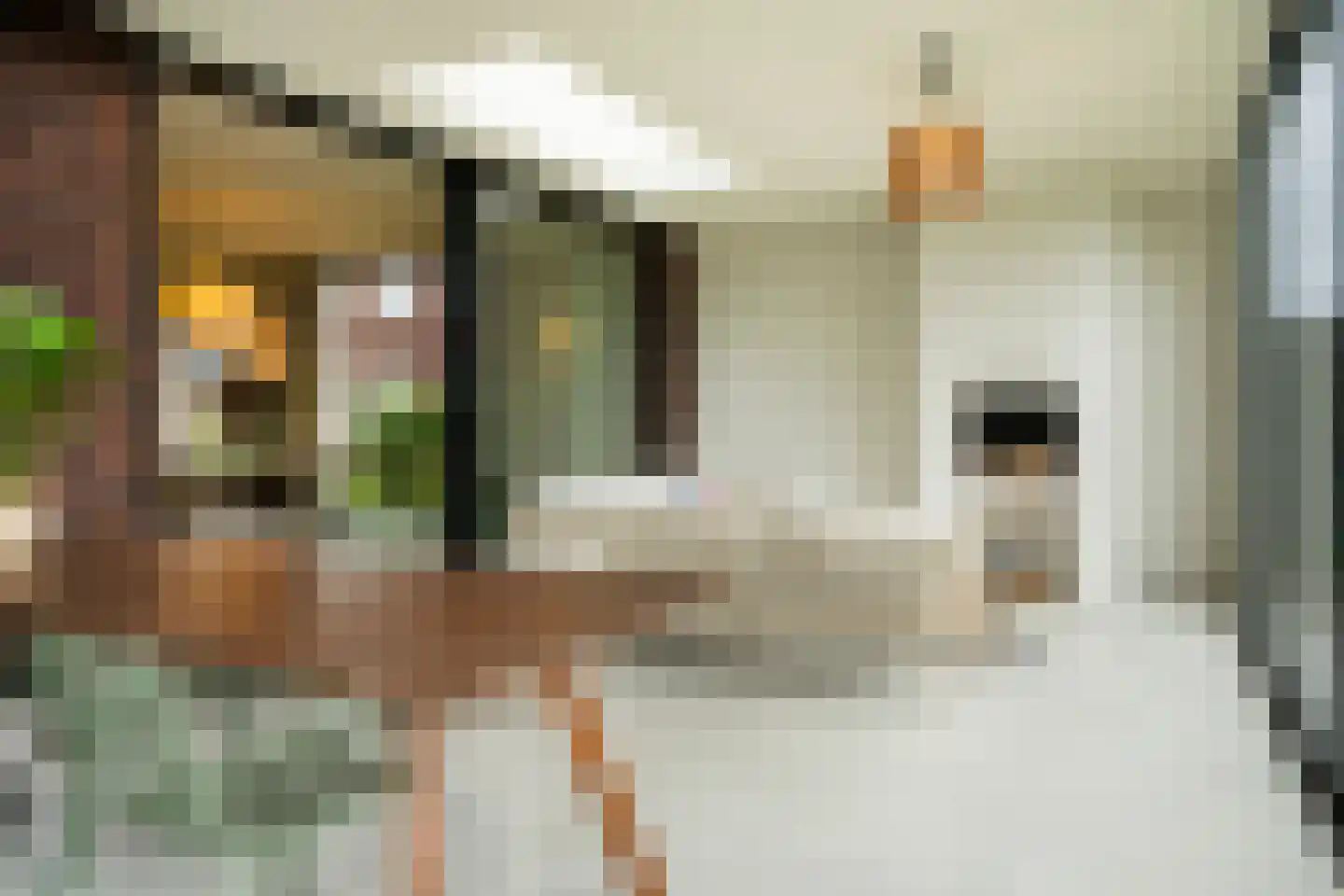 Speltakker 17 Gilze thumbnail 31