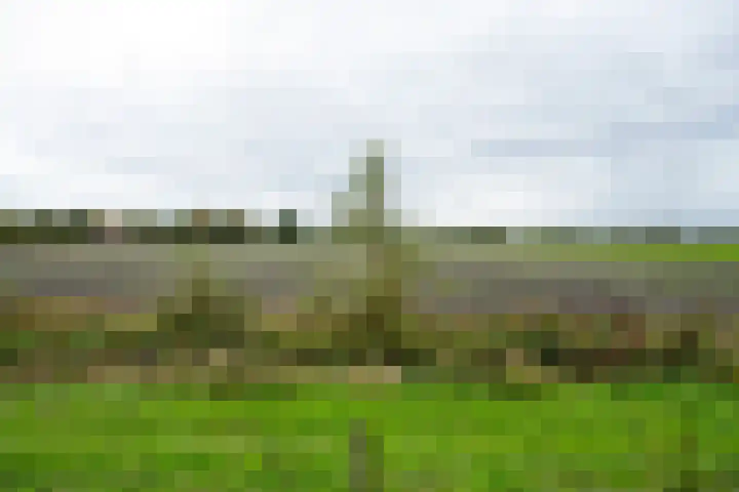 Speltakker 17 Gilze thumbnail 37