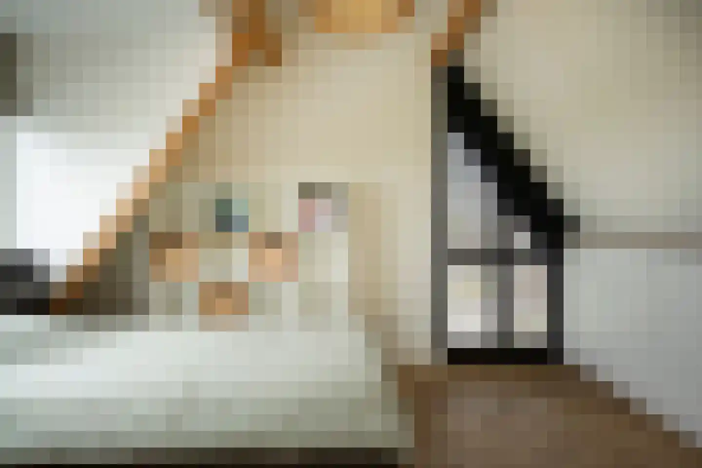 Speltakker 17 Gilze thumbnail 57
