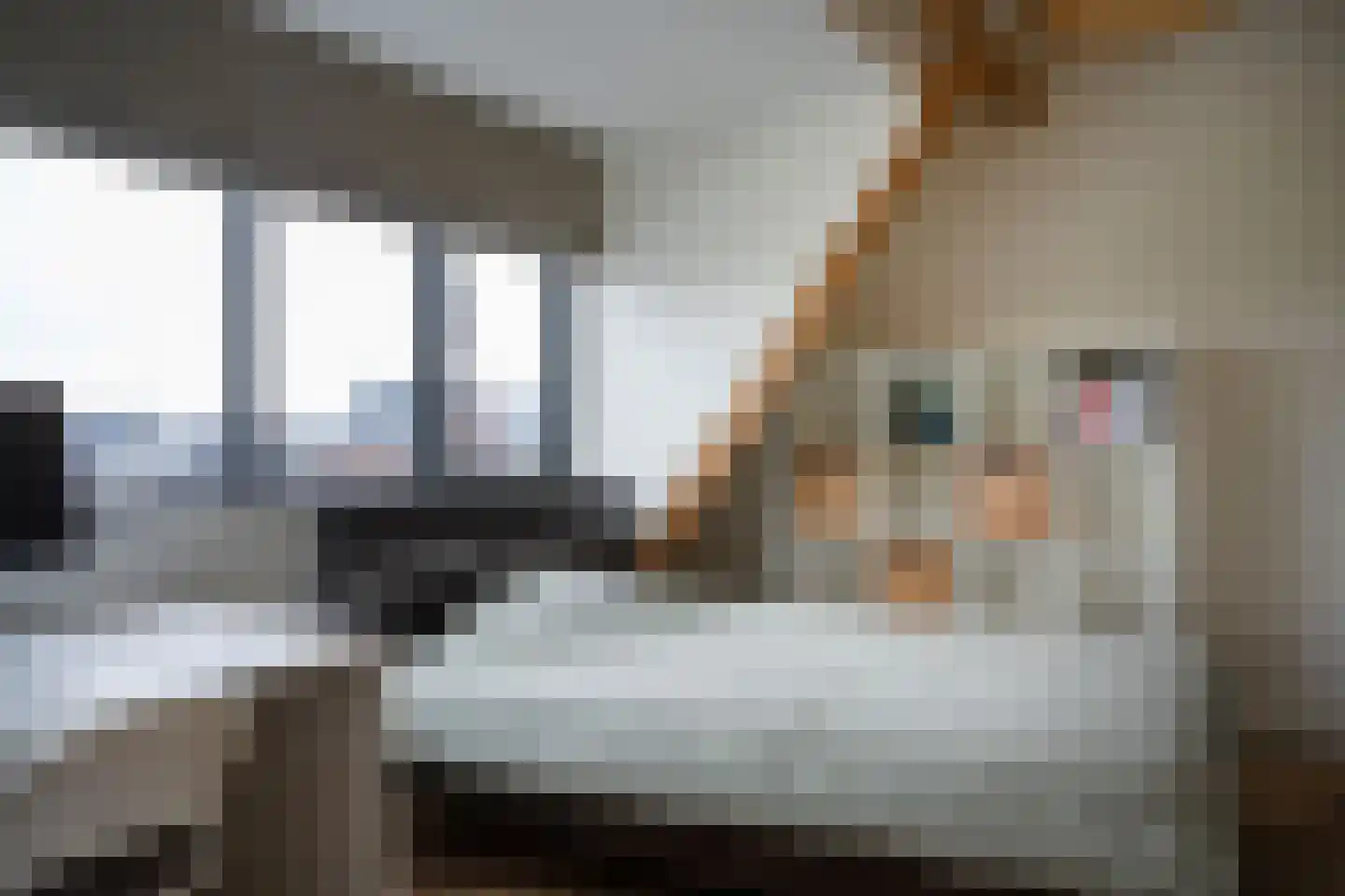Speltakker 17 Gilze thumbnail 58