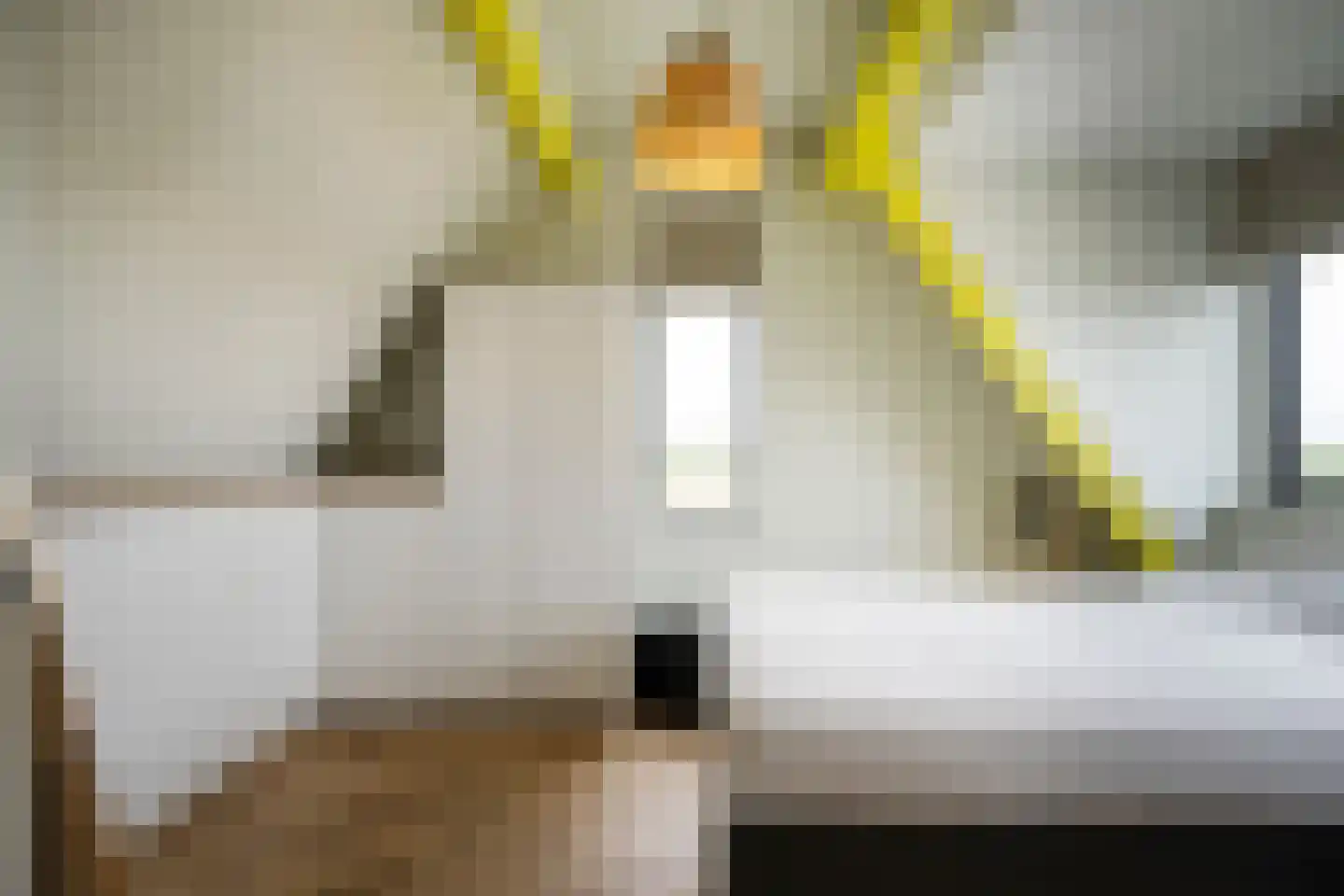 Speltakker 17 Gilze thumbnail 62
