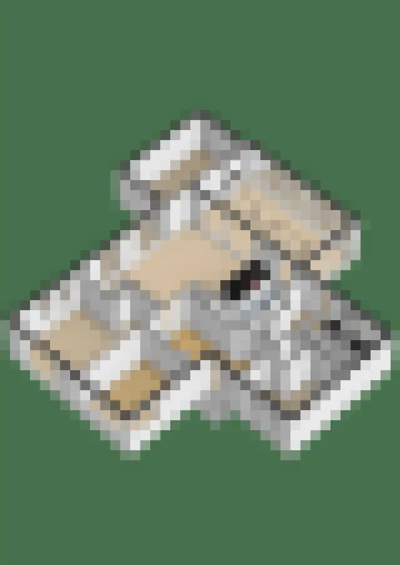 Speltakker 17 Gilze thumbnail 68