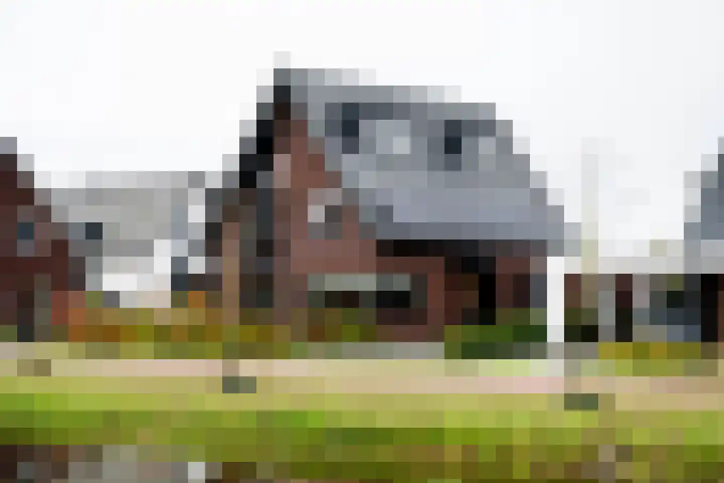 Speltakker 17 Gilze thumbnail 7