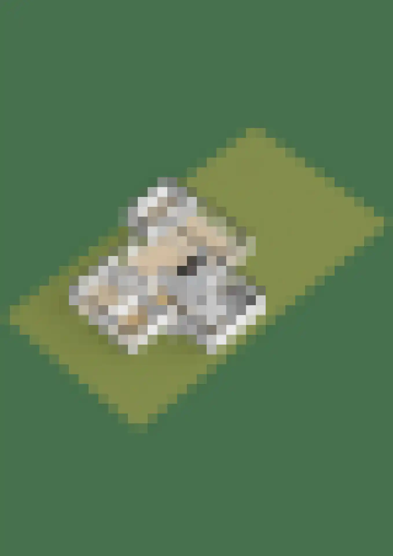 Speltakker 17 Gilze thumbnail 74