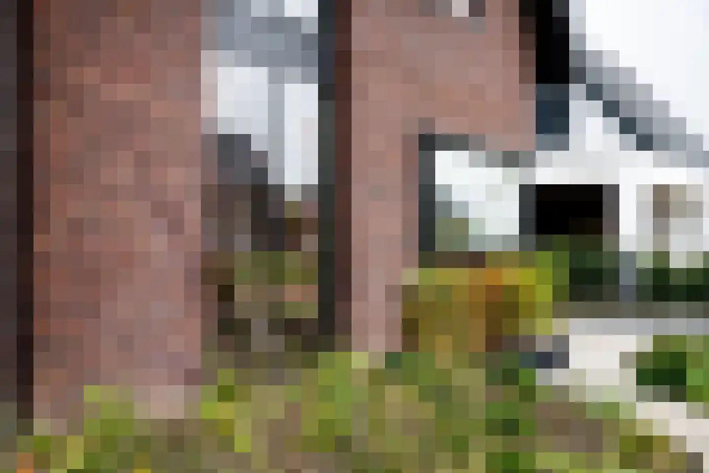 Speltakker 17 Gilze thumbnail 8