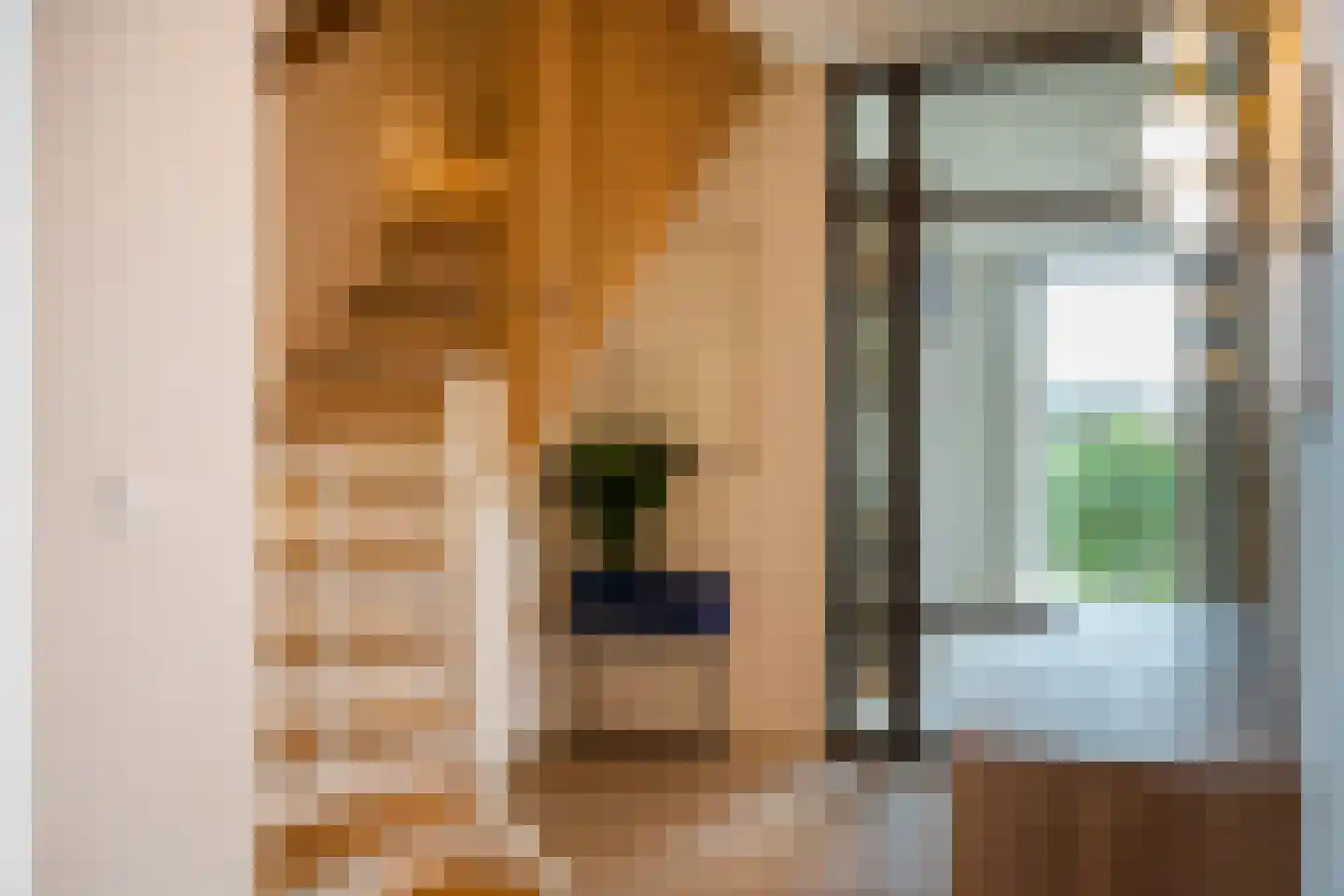 Speltakker 17 Gilze thumbnail 9