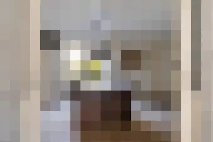 Speltakker 22 Heino thumbnail 10