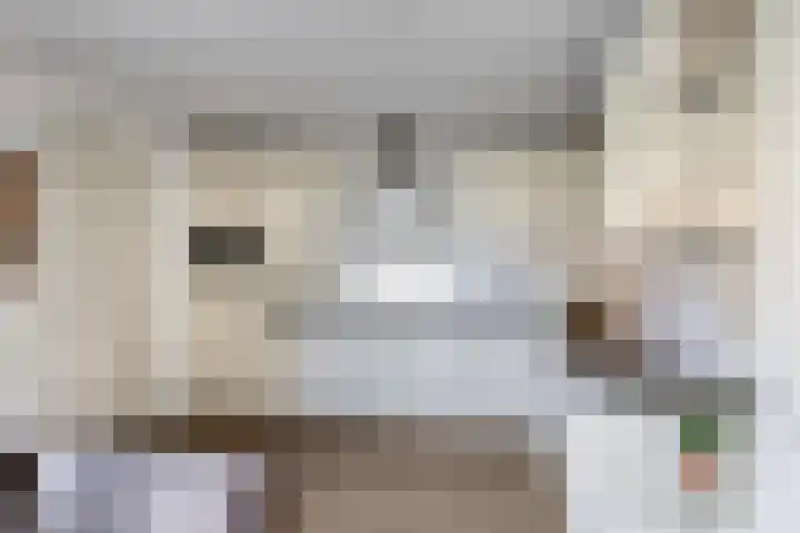 Speltakker 22 Heino thumbnail 12