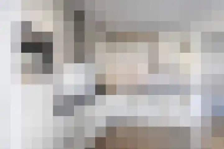 Speltakker 22 Heino thumbnail 13