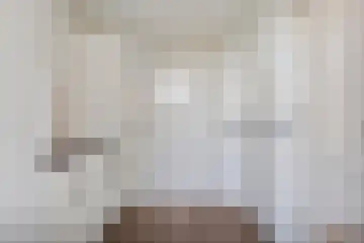 Speltakker 22 Heino thumbnail 14