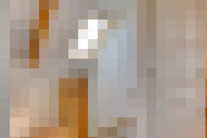 Speltakker 22 Heino thumbnail 25