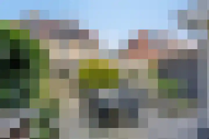Speltakker 22 Heino thumbnail 29