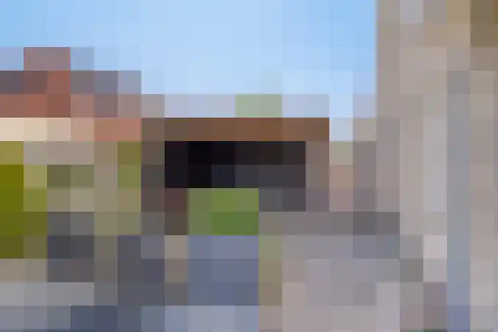 Speltakker 22 Heino thumbnail 30
