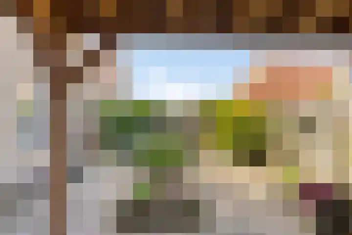 Speltakker 22 Heino thumbnail 31