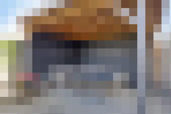 Speltakker 22 Heino thumbnail 32