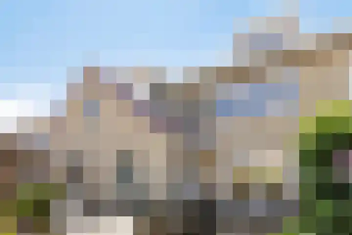 Speltakker 22 Heino thumbnail 33