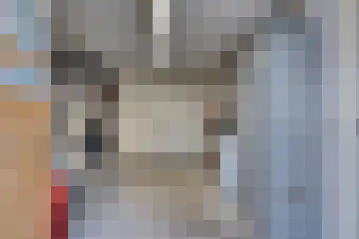 Speltakker 22 Heino thumbnail 34