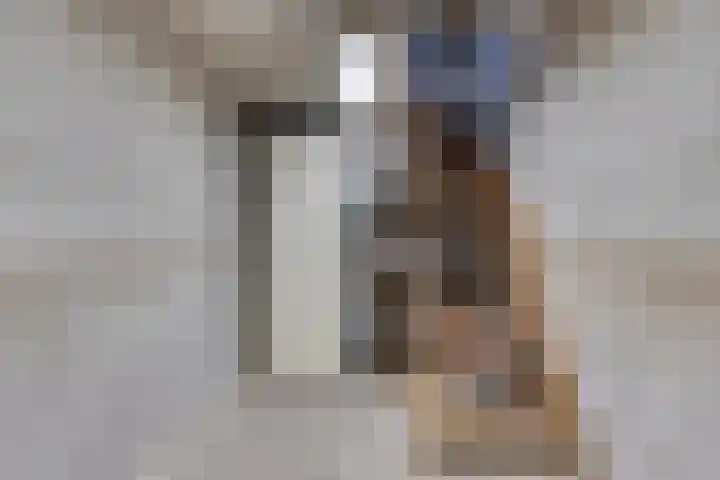 Speltakker 22 Heino thumbnail 35