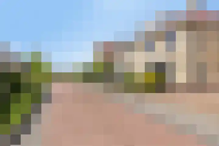 Speltakker 22 Heino thumbnail 36