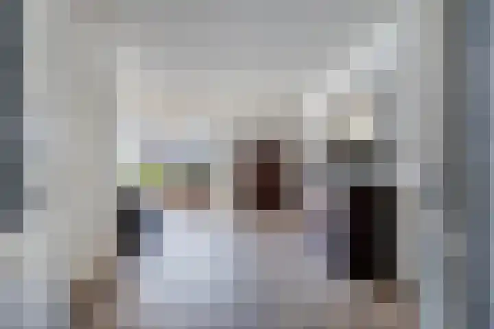 Speltakker 22 Heino thumbnail 5
